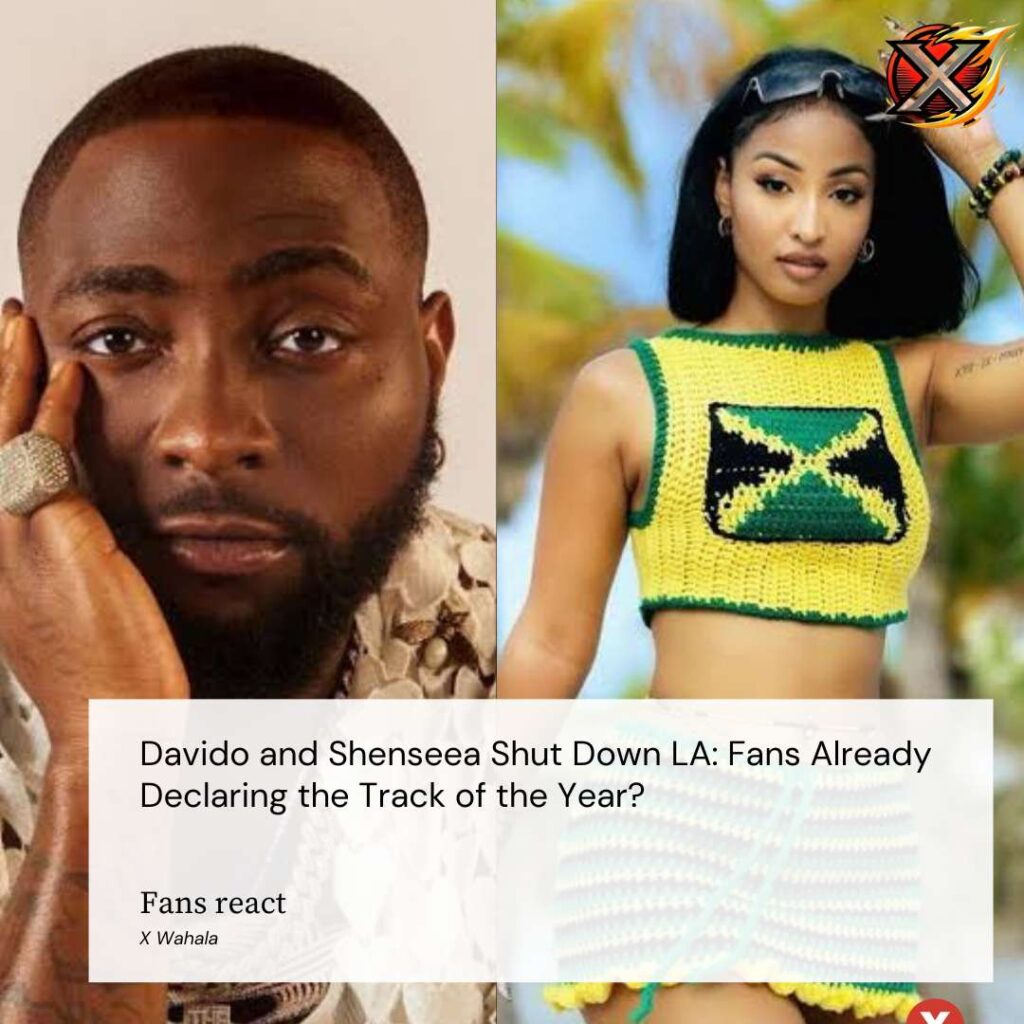 Davido and Shenseea Shut Down LA: Fans Already Declaring the Track of the Year?